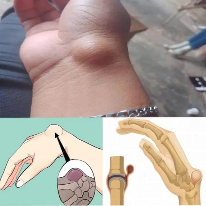 598658899 893994836859161 7963718660238486693 n