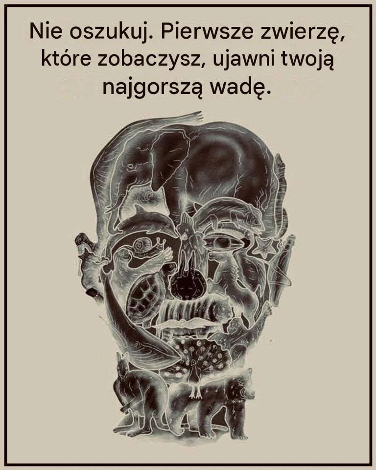 712327554 122175830414936388 1653505097714790606 n