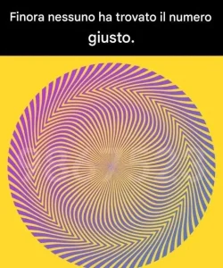 746350971 122195203568797541 1428495018532207545 n