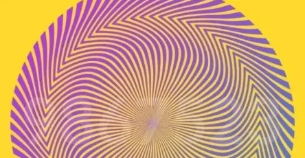 746350971 122195203568797541 1428495018532207545 n