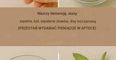 7b054cef 5f10 4d7a a880 44bcf21fa40c