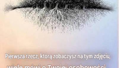 Fcb24fab beb8 4556 8e32 3d18f199c97e
