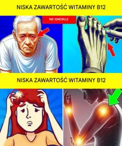 Translated image pl
