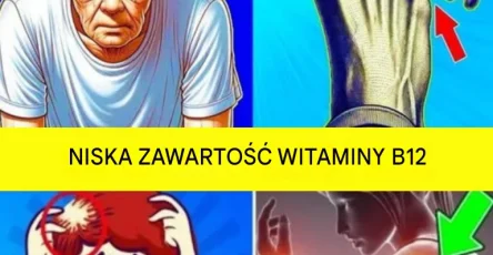 Translated image pl